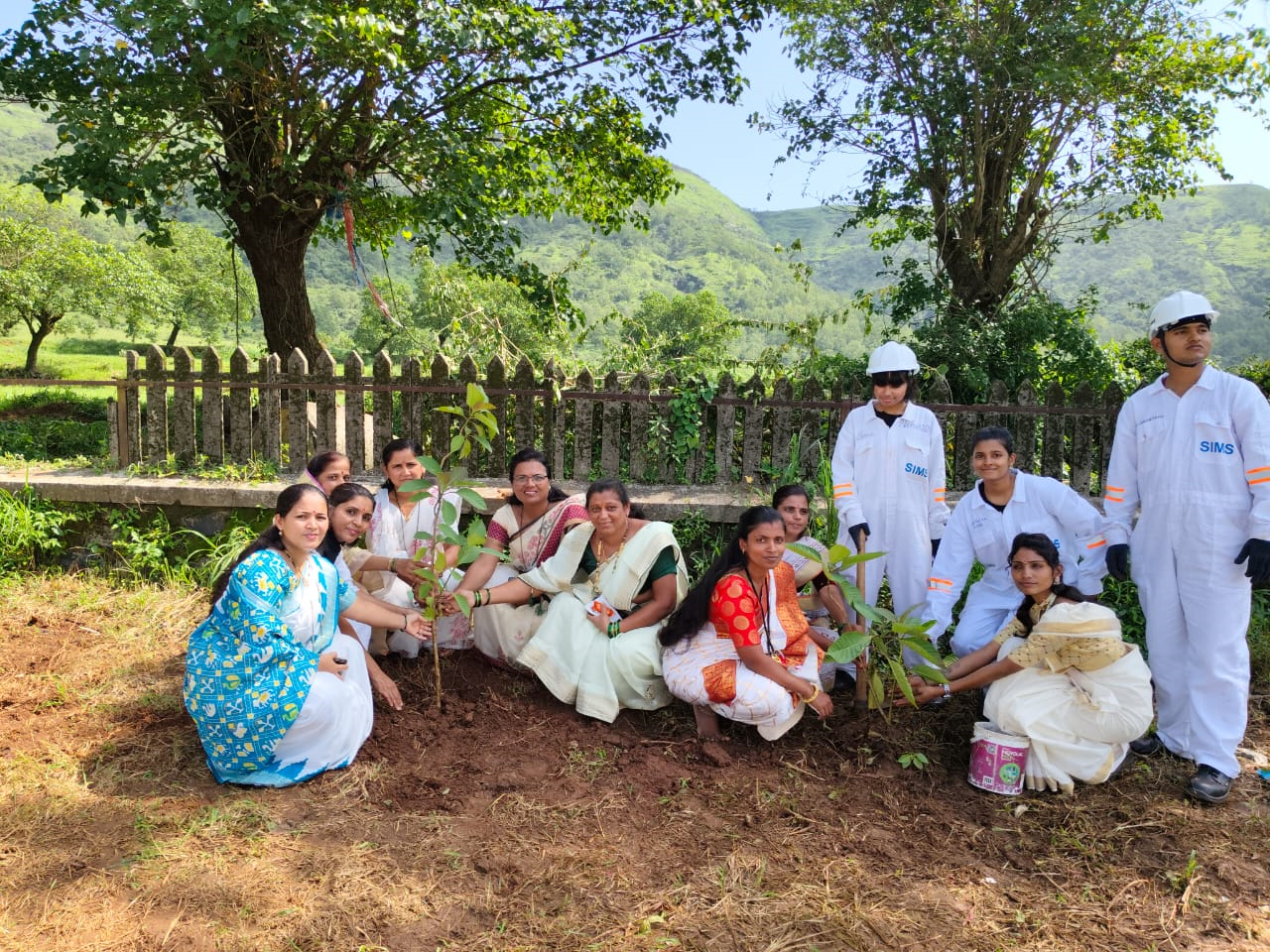Tree Plantation Drive 2024